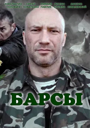 Барсы (сериал 2015)