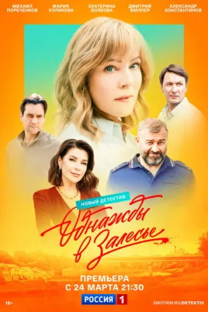 Однажды в Залесье (сериал 2024)